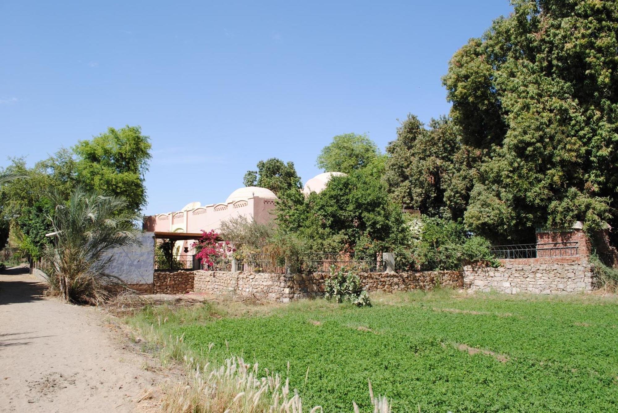 Hotel Nubian Holiday House Assouan Extérieur photo